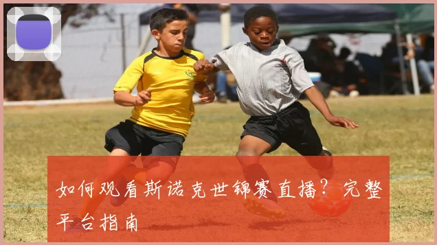篮球明星退役后生活大揭秘_20260529200442