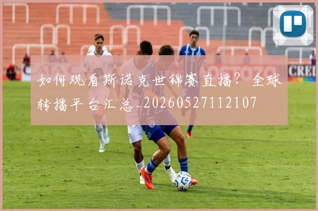 篮球明星退役后生活大揭秘