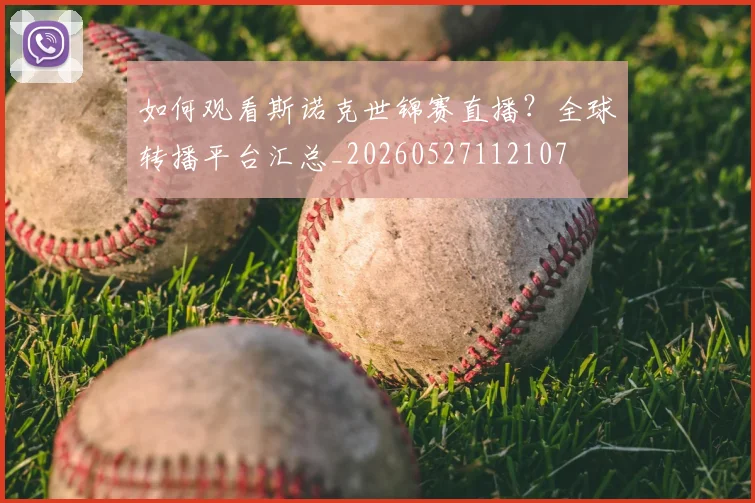 篮球明星退役后生活大揭秘